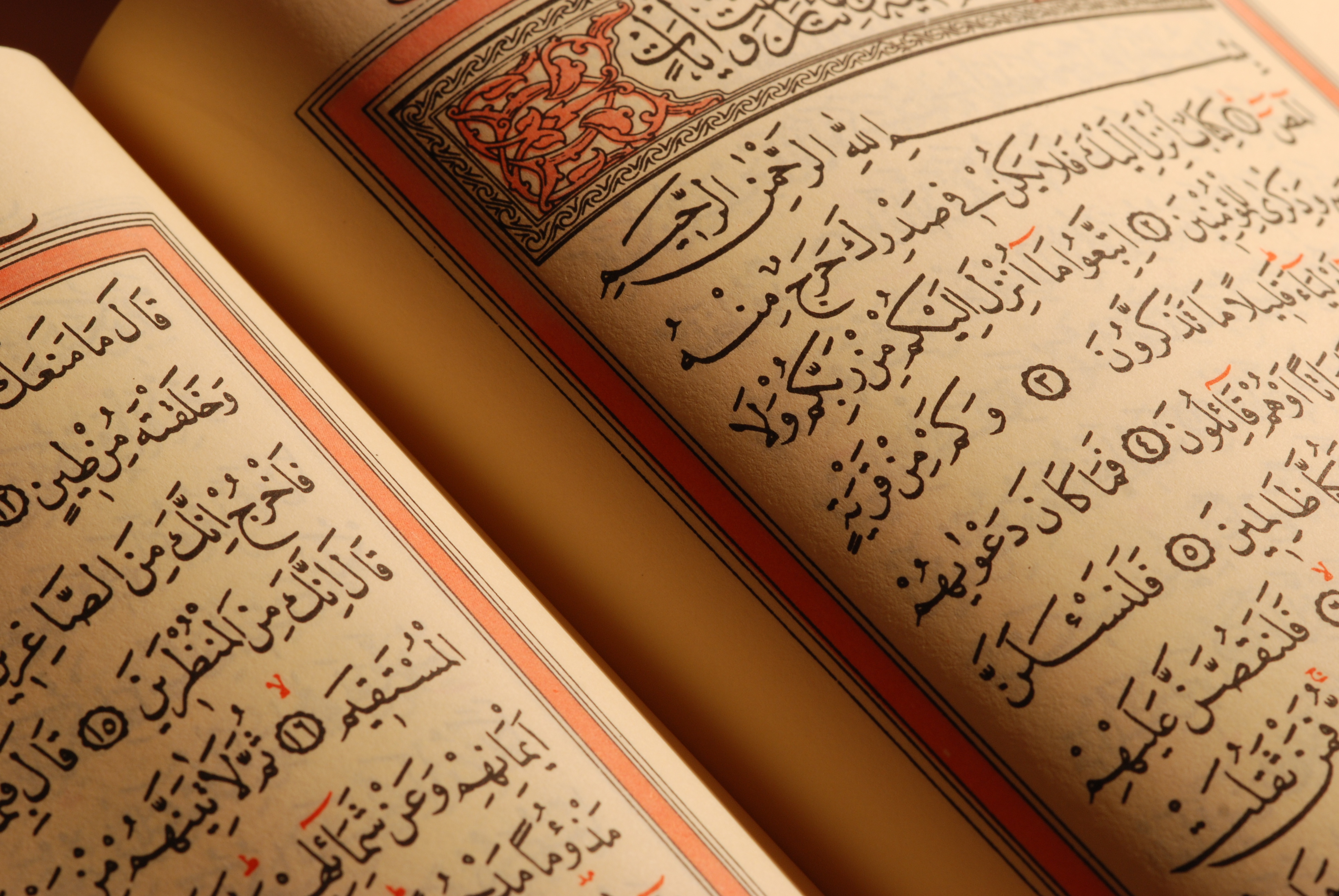 5 Razones para aprender  el idioma  árabe clásico